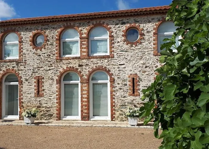 Copacabana Tiny House Terrasse Jardin